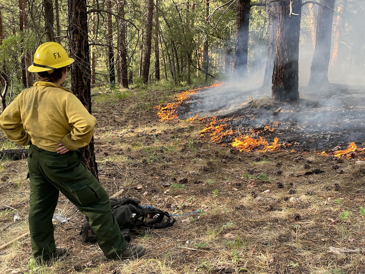 Observing backing fire behavior during the 2022 Rainbow Fire, Grand Canyon National Park