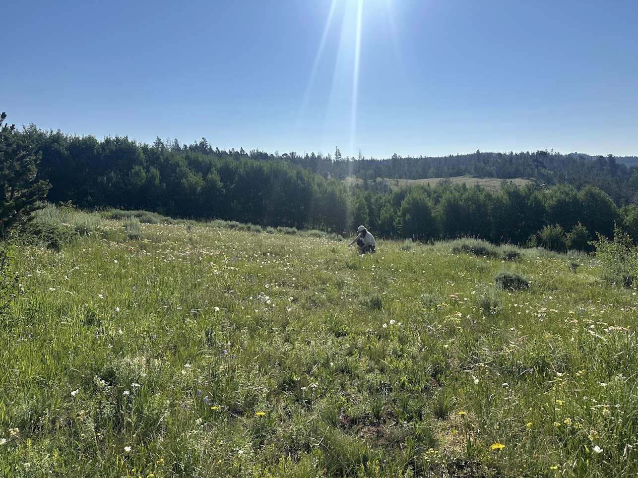 Fieldwork