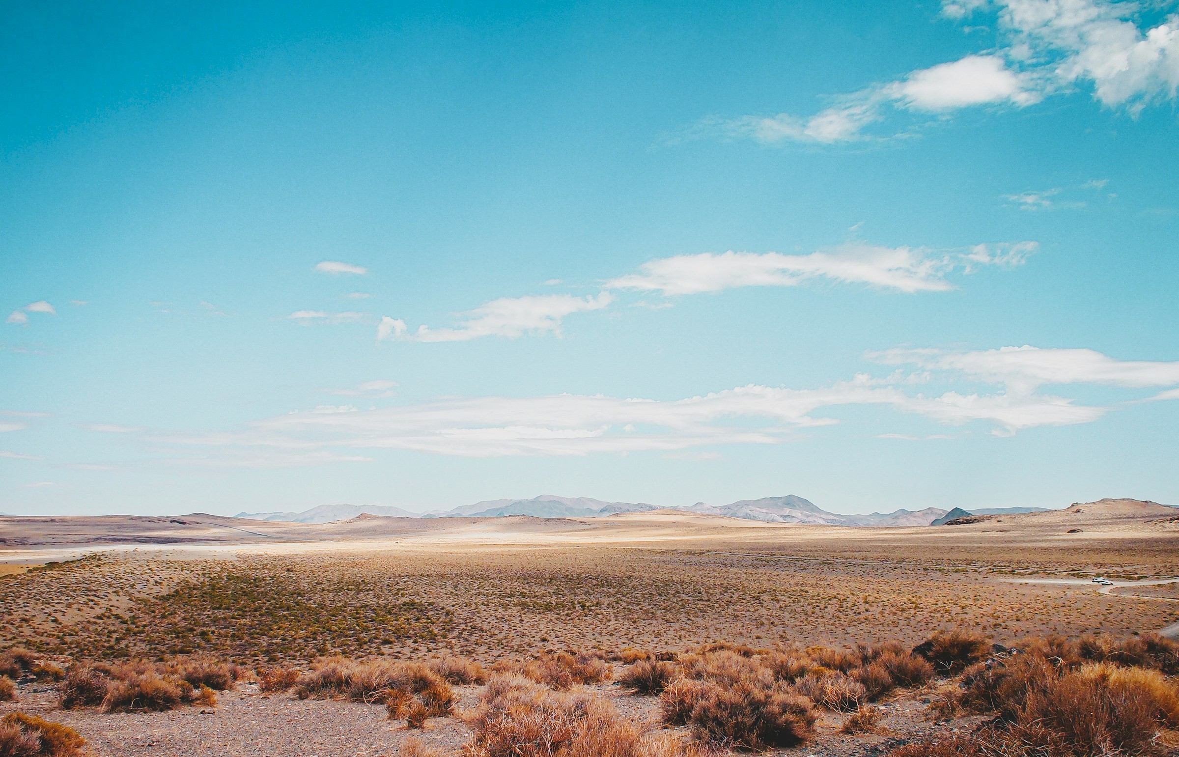 Website Header